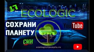 ECOLOGIC/ЭКОЛОГИЧЕСКАЯ ИГРА/ПРИЧИНА ВЫБРОСА ДЕЛЬФИНОВ НА БЕРЕГ/СЕВЕРНЫЙ ПУТЬ