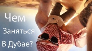 Стоит ли посетить сафари в ОАЭ?