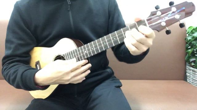 Voyager Guitars UKT Spruce/Wenge [LAST GUITAR] смотреть онлайн