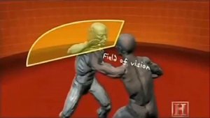 Физика ударов и приемы в ММА