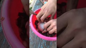 2 блюда из баранины от чабана