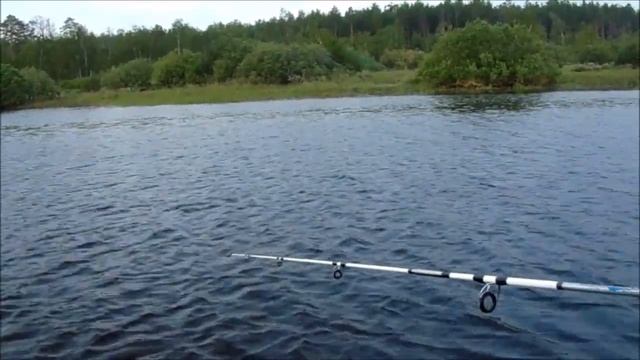 Рыбалка лето 2019 июль  Тап пихтовка