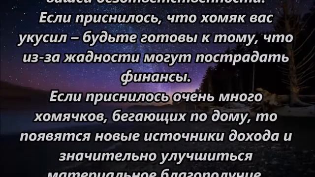 К чему снятся хомяки смотреть онлайн
