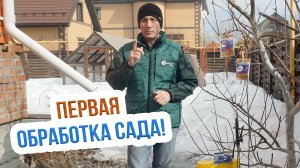 Весенняя обработка сада. Борьба с болезнями сада весной