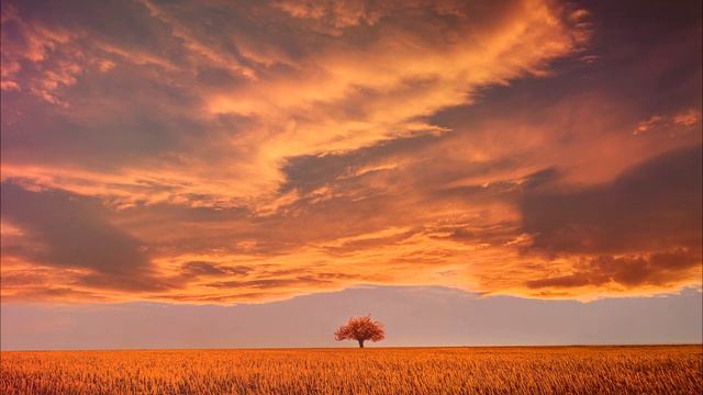 Как установить связь с жизненной энергией природы - ЭКХАРТ ТОЛЛЕ [Nikosho] смотреть онлайн