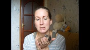 Роды шпица (Дневник: "Момент родов")