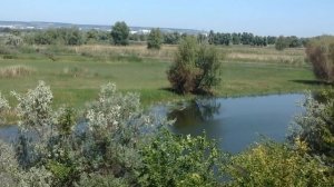В отпуск на мопеде. Часть первая.
