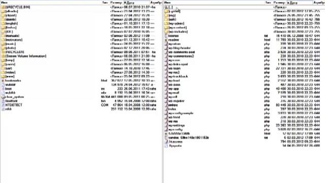 3 способа подключиться к сайту по FTP смотреть онлайн