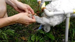 Коляска для собаки инвалида дёшево!