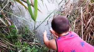 Ловля Креветки Идем Проверять Ловушку Рыбалка в Дагестане