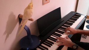 Comptine D'été n°3 - Yann Tiersen [ft. Snow the bird 🐤]