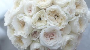 Свадебный футаж