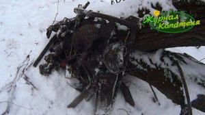 ПЕРВЫЙ ЛЕСНОЙ КОП МЕТАЛЛОЛОМА В НОВОМ ГОДУ! МЕТАЛЛОКОП 2023!