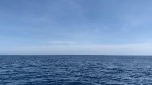 Медитация. ✨Поток Жизни✨