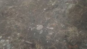 ЗАБЫЛ МЕТАЛЛОИСКАТЕЛЬ ИЛИ ПИНПОИНТЕР В ДЕЛЕ!!!