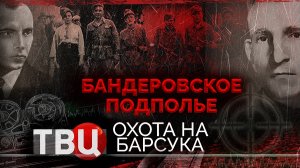 Бандеровское подполье. Охота на Барсука. Документальный фильм ТВЦ