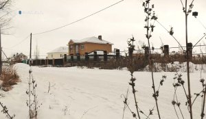 Село Лопатино. Пришельцы из города