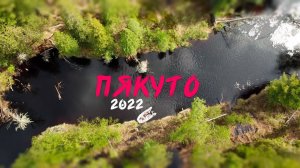 Рыбалка на озере Пякуто. 2022