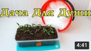 Правильная ВОДА для полива рассады☝☝☝