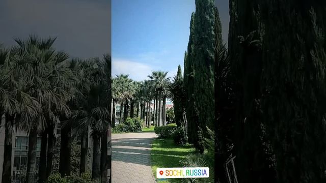 #Сочи?☀️#2023#недвижимость#житьуморя#лето#инвестиции#специалистпонедвижимости#захаршалыгин#sea#buaty