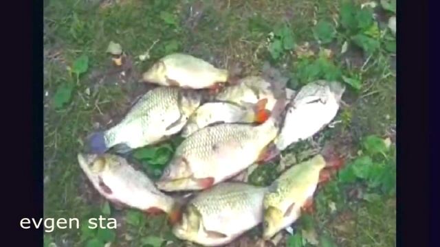 Рыбалка на озере. Самоловная снасть смотреть онлайн