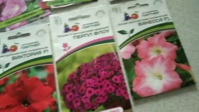 ОДНОЛЕТНИКИ!🌺 Какие однолетние цветы я выращивала у себя на участке.