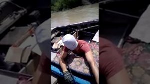 Река или 2017 год, бракоши с электро удочкой !!!