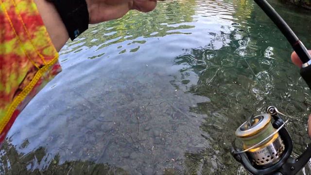 Полным-полно ГОЛАВЛЯ и ЛИНЯ... | Украинские приманки в деле | Малая река Франции смотреть онлайн