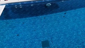 Автоматическое накрытие для бассейна. Сколько стоит ролеты для бассейна или жалюзи