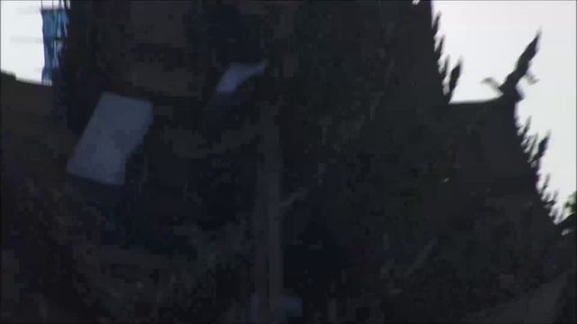 Таиланд Паттайя Отель Garden Sea View Resort