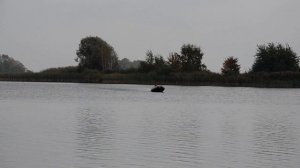 boat AZIMUT taifun 350