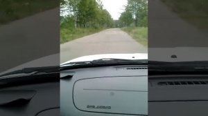 Дорога на Меньшиково.По которой наши местные жители "едут" на берег бухты Меньшиково с детьми.