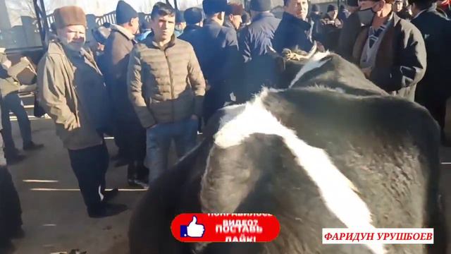 Молбозори ш.Истаравшан Точикистон нархои Нав срочно имруз дар бозор...
