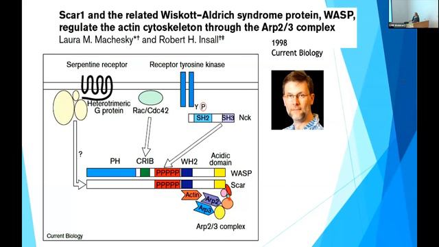 Laura Machesky – Ahead of the Curve: Women Scientists at the LMB смотреть онлайн