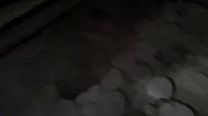 Какие полы выбрать для конюшни?