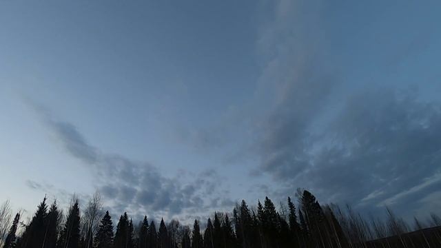 Охота на вальдшнепа. смотреть онлайн