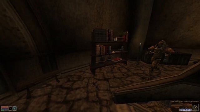 Morrowind: Tribal Warrior playthrough Part 10.