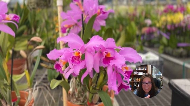 Mother's Day Special смотреть онлайн