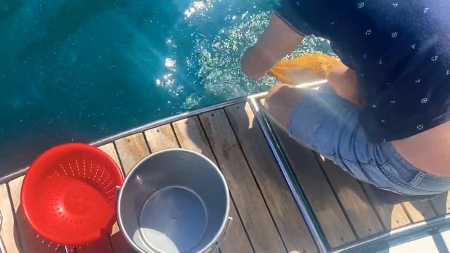 Крым / Балаклава / морская прогулка с дельфинами и рыбкой / отдых сказка смотреть онлайн