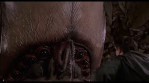 Арахниды | История Зла