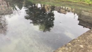 Рождество, Италия , стрит стайл, Яна свквоцова