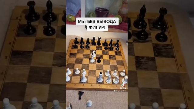 МАТ БЕЗ ВЫВОДА ФИГУР! Как это возможно?! Шахматы #шахматы #Шахматы #шахматныеловушки #шахматнаяпарт