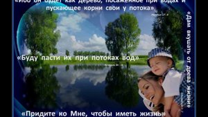 Картинки со стихами из Библии  часть 3