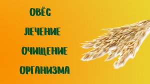 Овёс — лечение, очищение организма.mp4