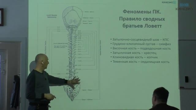 Центр КИНЕЗИО. Термины и понятия в прикладной кинезиологии