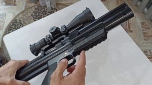 Альфа Доберман буллпап приоделся в практичное и эстетичное