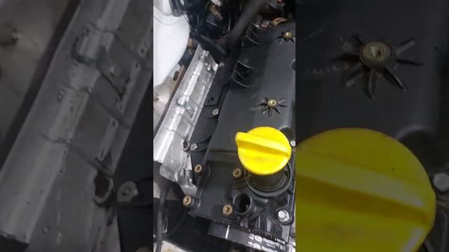 limpeza para substituir bomba dagua e correia dentada da Renault kangoo