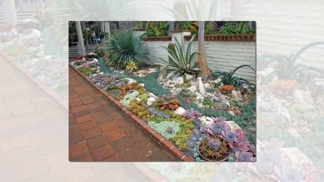 Великолепные Суккуленты в ландшафтном дизайне смотреть онлайн