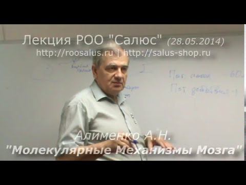 Молекулярные механизмы мозга (А.Н. Алименко) смотреть онлайн