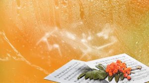 HD ФУТАЖИ БЕСПЛАТНО  ФУТАЖ ОСЕННИЙ ДЛЯ ТЕКСТА